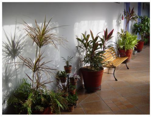 Suitel 522 Eco Hostel Mazatlán Εξωτερικό φωτογραφία