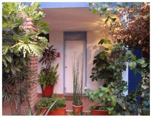 Suitel 522 Eco Hostel Mazatlán Εξωτερικό φωτογραφία