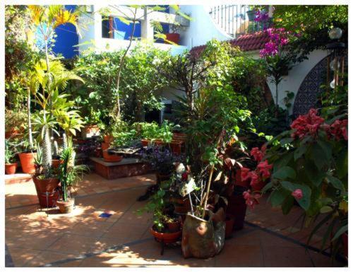 Suitel 522 Eco Hostel Mazatlán Εξωτερικό φωτογραφία