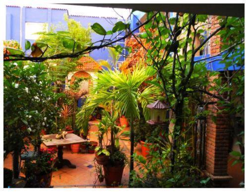 Suitel 522 Eco Hostel Mazatlán Εξωτερικό φωτογραφία